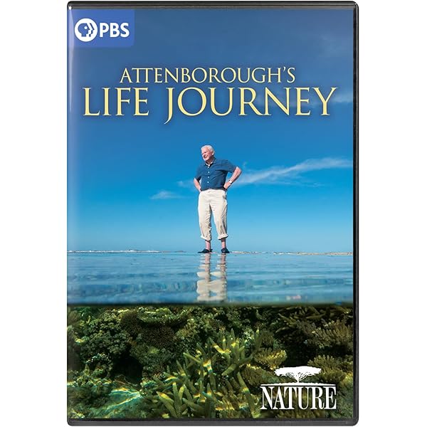 その他 Water Life [DVD] Water Life [DVD](品) 【公式通販】