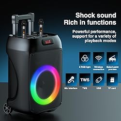 Portable Karaoke Machine with 2 Wireless
