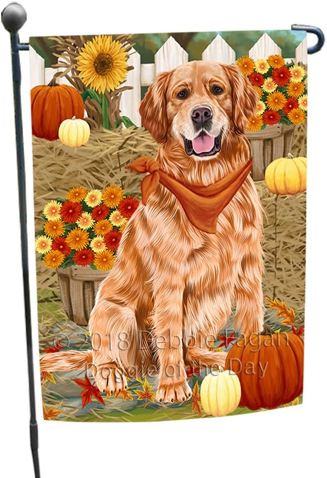 autumn golden retrievers