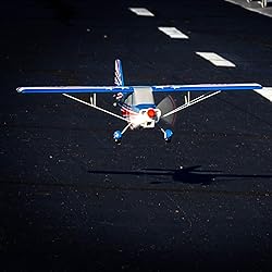 E-flite RC Airplane Decathlon RJG 1.2m BNF Basic