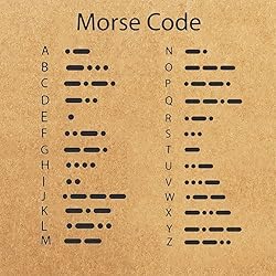 TESTRYE Morse Code Bracelets for Women,BFF Morse