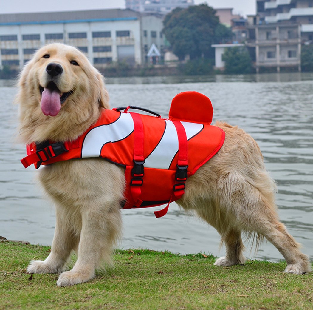 XIAOYU Dog Life Jacket, Adjustable Pet Life Preserver Safety Dog Swimming Pool Vest, Novice Swimmer Life Jacket for Pets, Water Safety at the Pool, Beach, Boating, Red, L