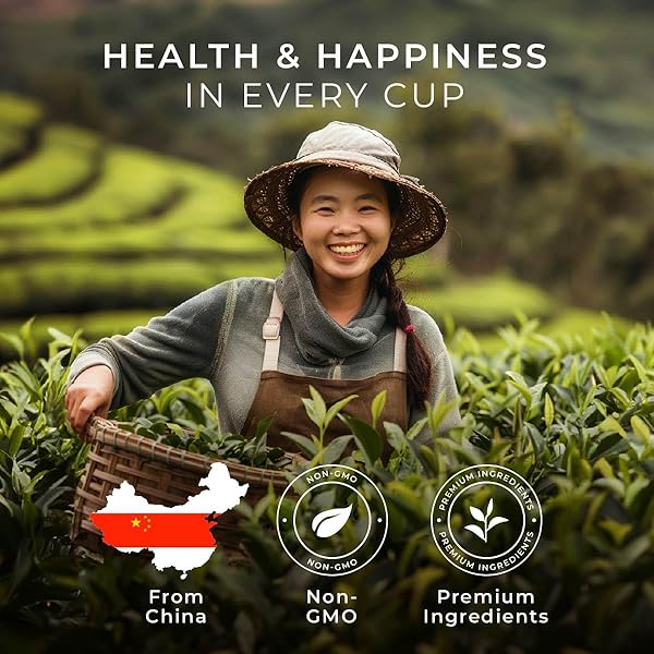 GYA TEA CO CAFFEINATED PU’ERH BLACK TEA POD (16 COUNT) – SMOOTH, FLAVOURFUL, ROBUST, ENJOY HOT OR ICED