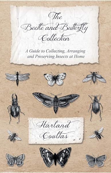 Amazon Com The Beetle And Butterfly Collection A Guide To Collecting Arranging And Preserving Insects At Home 9781528708128 Coultas Harland Books