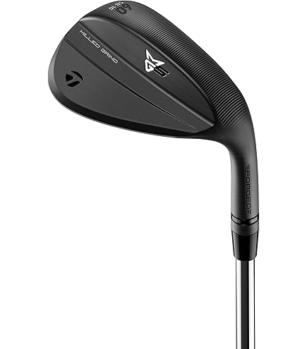 Amazon.com : NEW TaylorMade P770 Approach Wedge/Steel Project X