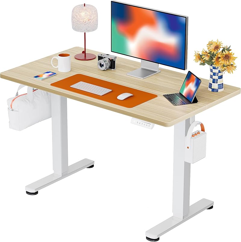 ErGear Electric Standing Desk 100x60cm Adjustable 72-118cm 4 Memory