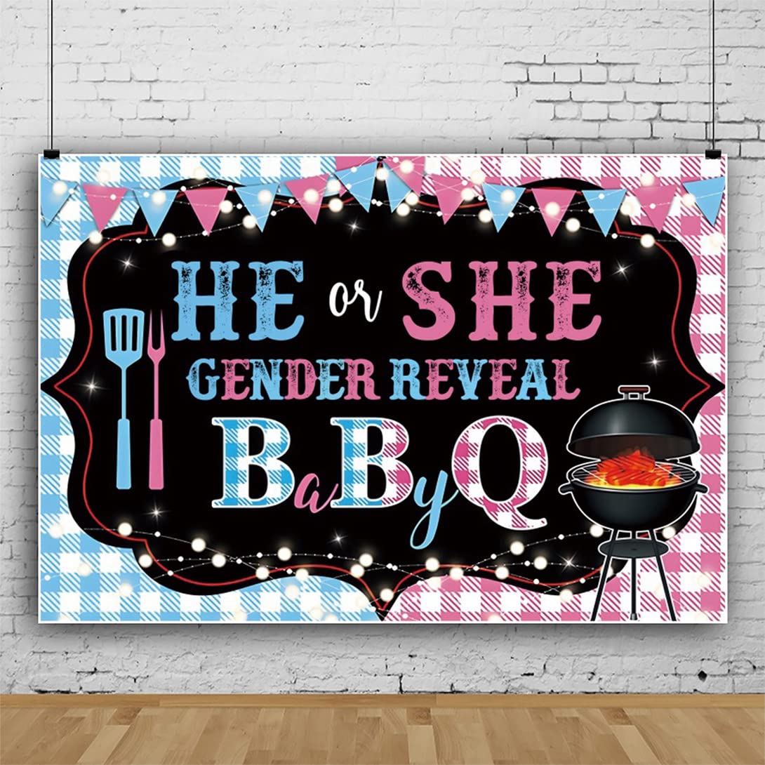 Bovlleetd 9x6ft Baby Gender Reveal Banner HE OR SHE BBQ Theme Photography Background Photo Studio Booth Photography Backdrop Blue Pink Checkered Backdrop