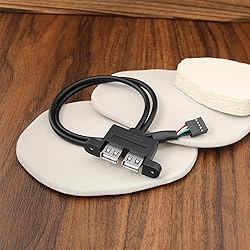Be In Your Mind 2PCS 9-Pin to Dual USB 2.0 Ports