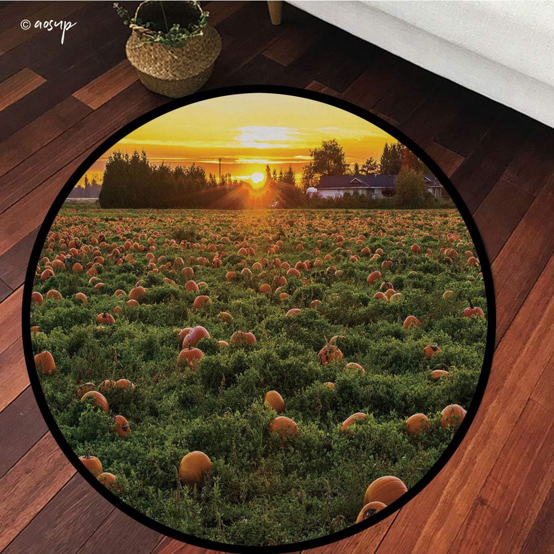 №14725 Round Area Rug Floor Kitchen Carpet, Autumn Pumpkin, Agriculture Themed Photo of Fall Seasonal Fruit Patch at Sunset Time, Multicolor, for Home Decor