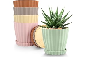 QRRICA Plant Pots 6 inch Pots, 5 Pack Flower Pots Outdoor Indoor, Planters with Drainage Hole and Tray Saucer-Multicolour