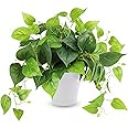CEWOR Artificial Plants Fake Pothos with Plastic Pot Artificial Potted Plant for Home Office Bedroom Indoor Outdoor Decor 1 P
