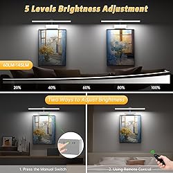 Picture Light with Remote, 20inch Wireless