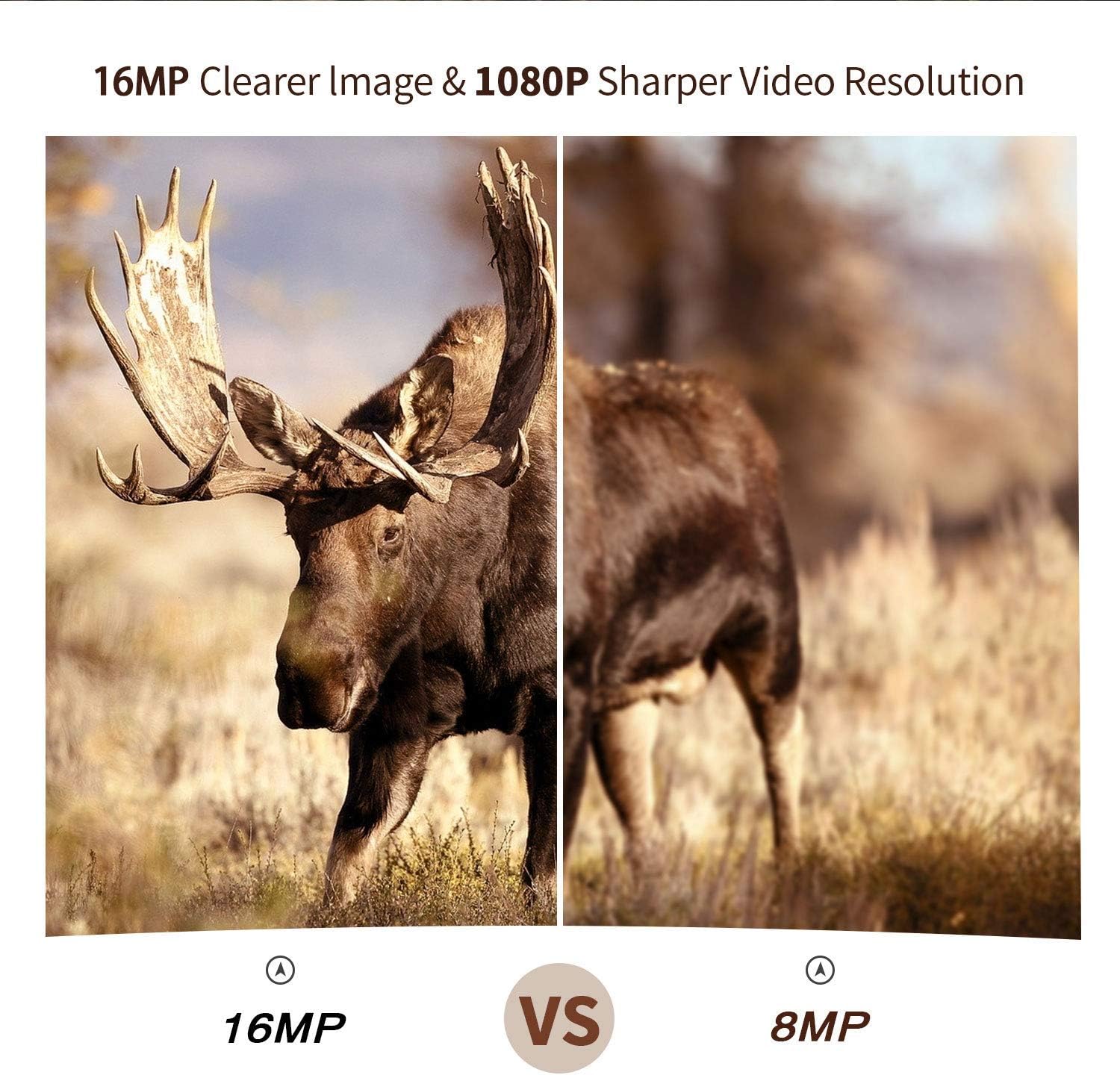 Campark Mini Trail Camera 16MP 1080P HD Game Camera Waterproof Wildlife Scouting Hunting Cam with 120° Wide Angle Lens and Night Vision 2.0” LCD IR LEDs: Camera & Photo