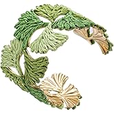 RUOFFETA Women's Raffia Cuff Bracelet with Ginkgo Leaf, Handmade Summer Beach Jewelry, Vibrant Gradient Colors, Adjustable Open Cuff Design