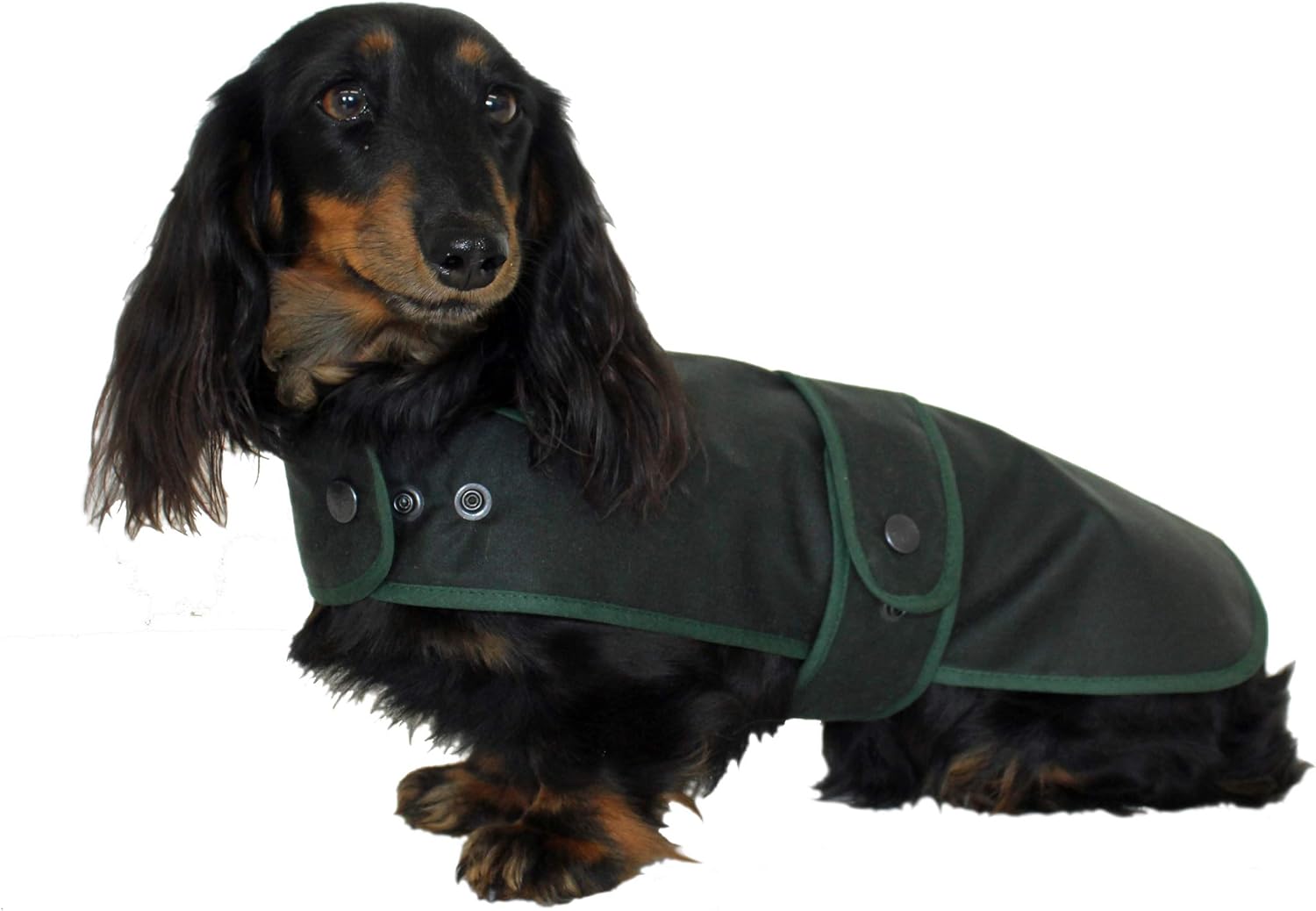 Cosipet Dachshund Hunter Coat,13" (33 cm) green - Image 3