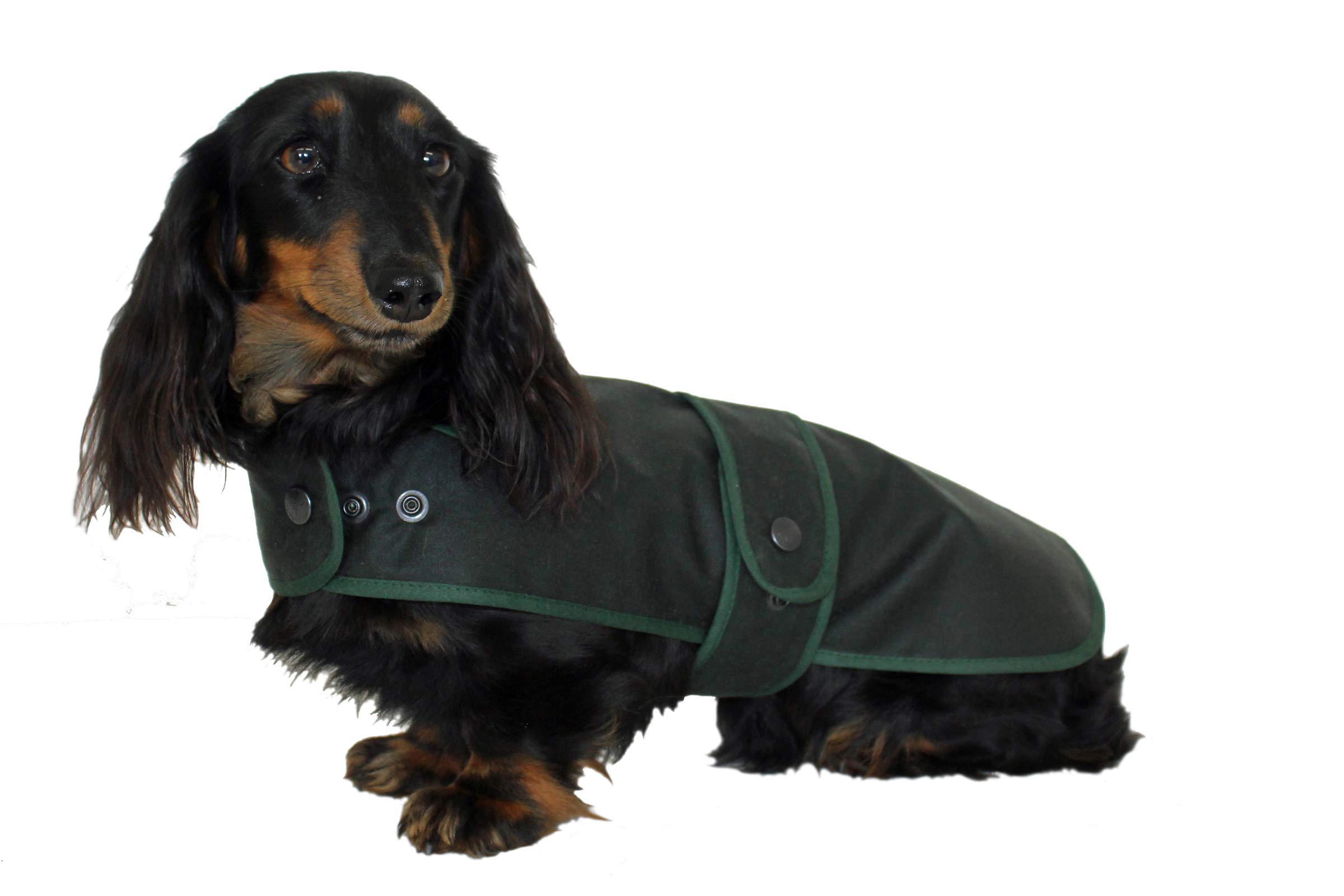 Cosipet Dachshund Hunter Coat, 21" (53cm) Green
