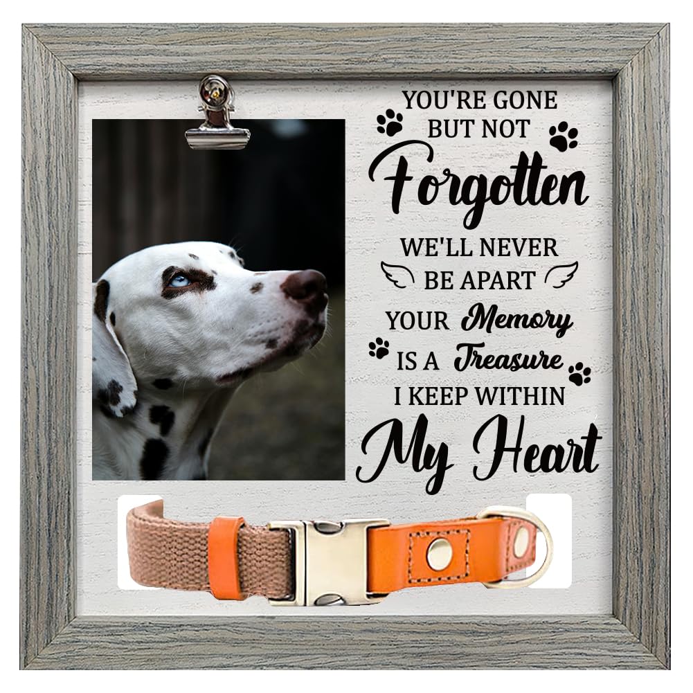 FINGERINSPIRE Pet Memorial Picture Frame 23x23cm You're Gone but Not Forgotten Pet Picture Frames with Photo Clip & Collar Holder Wood Memorial Gift Frame for Dogs Cat Pets that Passed