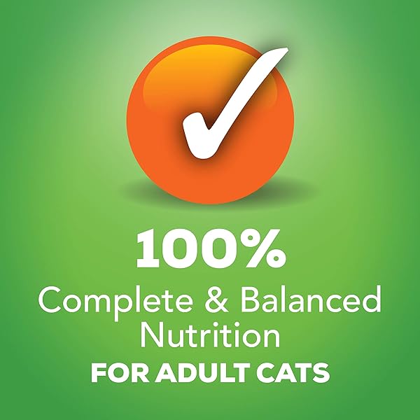 PURINA FRISKIES WET CAT FOOD PATE VARIETY PACK SALMON DINNER, TURKEY AND GIBLETS DINNER AND MIXED GRILL – (2 PACKS OF 12) 5.5 OZ. CANS