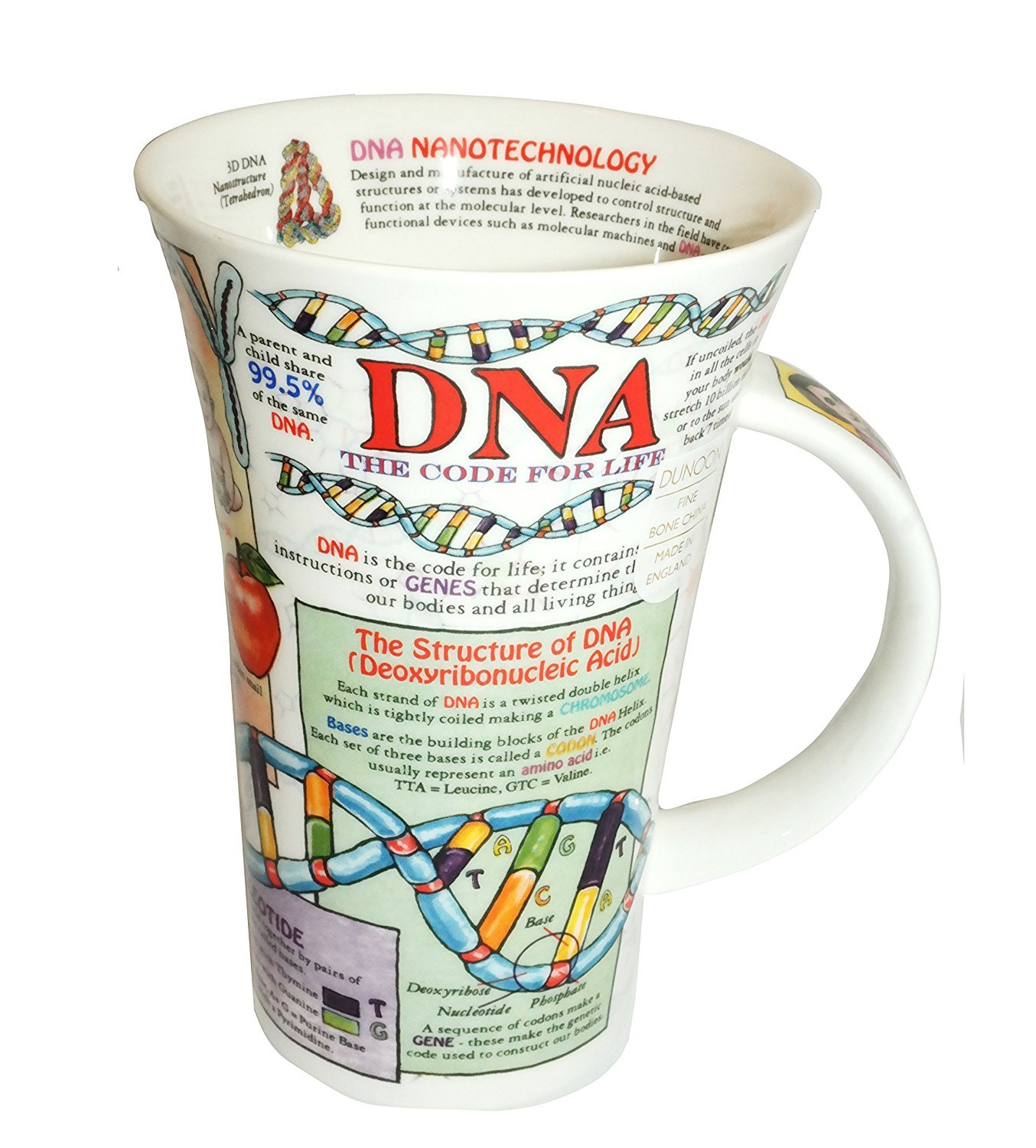 Dunoon Glencoe Fine China Educational DNA Mug Cup 500ml 16.9 fl oz