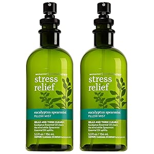 Bath & Body Works Aromatherapy Stress Relief Eucalyptus Spearmint Pillow Mist, 5.3 Fl Oz, 2-Pack (Packaging May Vary)