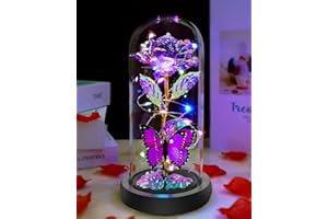 FVAWE Mothers Day Flower Gifts for Mom, Birthday Gifts for Women, Galaxy Crystal Light Up Rose Flowers in A Glass Dome, Mother Day Presents Wife Grandma Sister Her Mom from Daughter Butterfly Purple
