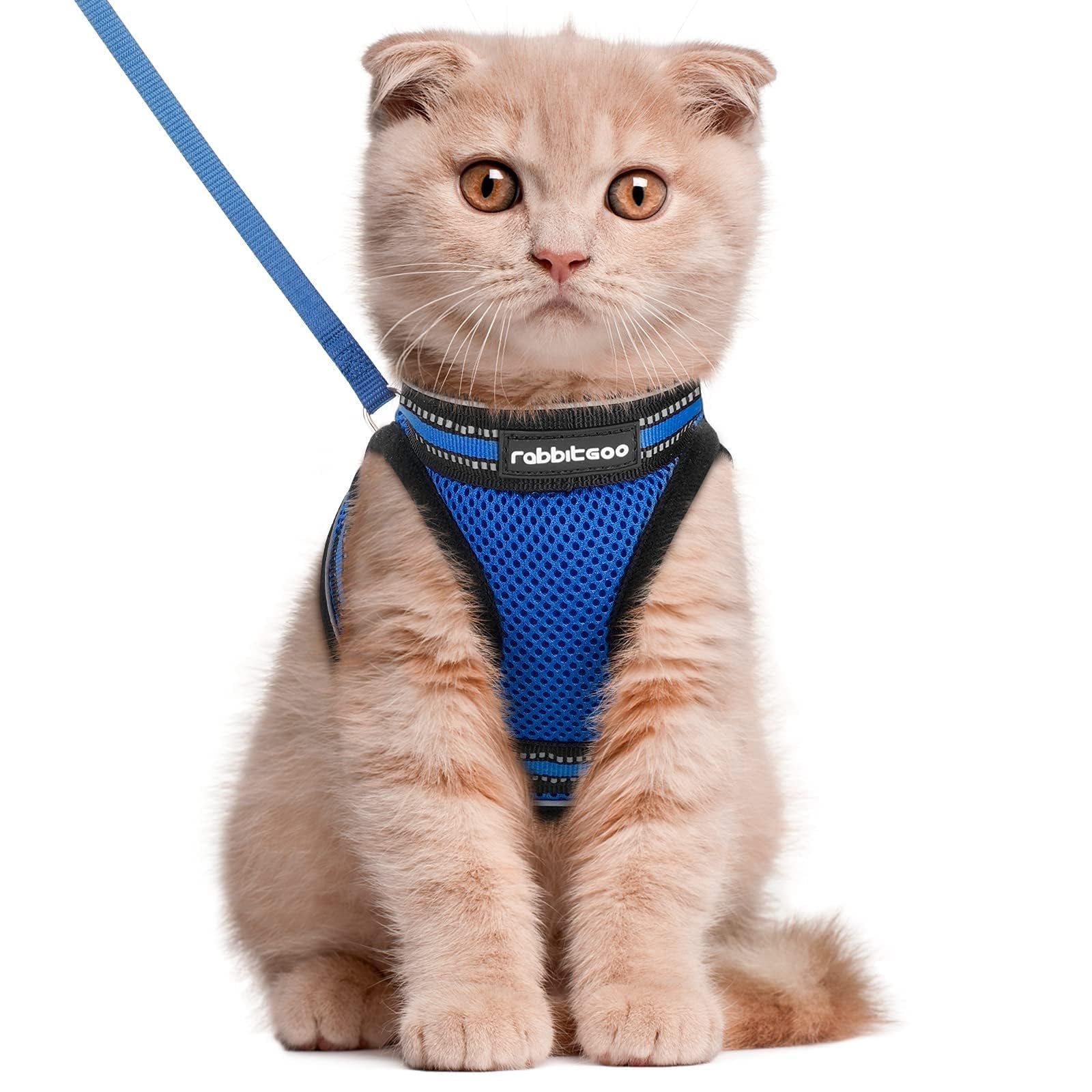 rabbitgoo Cat Harness and Leash Set for Walking Escape Proof, Adjustable Soft Kittens Vest with Reflective Strip for Extra Small Cats, Comfortable Choke-Proof Outdoor Vest Harness, Blue, Large