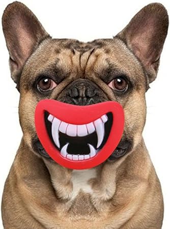 dog toy with teeth