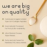 VitaBright Bovine Collagen Powder 500g High Bioavailability 50 Servings view 7