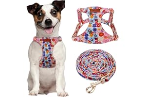 CHEDE No Pull Floral Pattern Dog Harness- Lightweight and Soft Dog Harness, Adjustable Small Dog Harness and Leash Set, with Dog Leash, Suitable for Puppy Small and Medium-Sized Dog