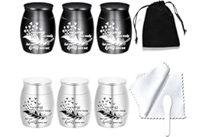 WEIKUI Small Keepsake Urns for Human Ashes - Set of 6 - Share Urn with Family & Friends Mini Cremation Urns with Feather Seagull Pattern Stainless Steel Memorial Ashes Holder (6Pcs Urn)