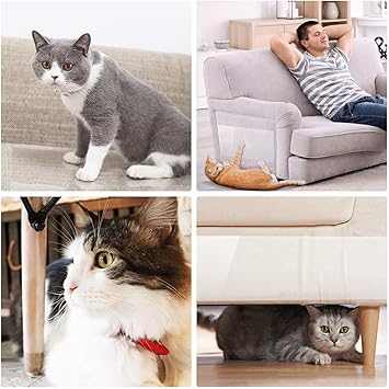 Ruban De Dressage Anti Rayures Pour Chats Protection Contre Les Rayures Chien Et Chat Transparent Auto Adhesif Resistant Aux Rayures Pour Canape Porte Table Meuble Amazon Fr Animalerie