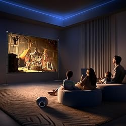 Outdoor Projector Screen with Stand - 120 inch