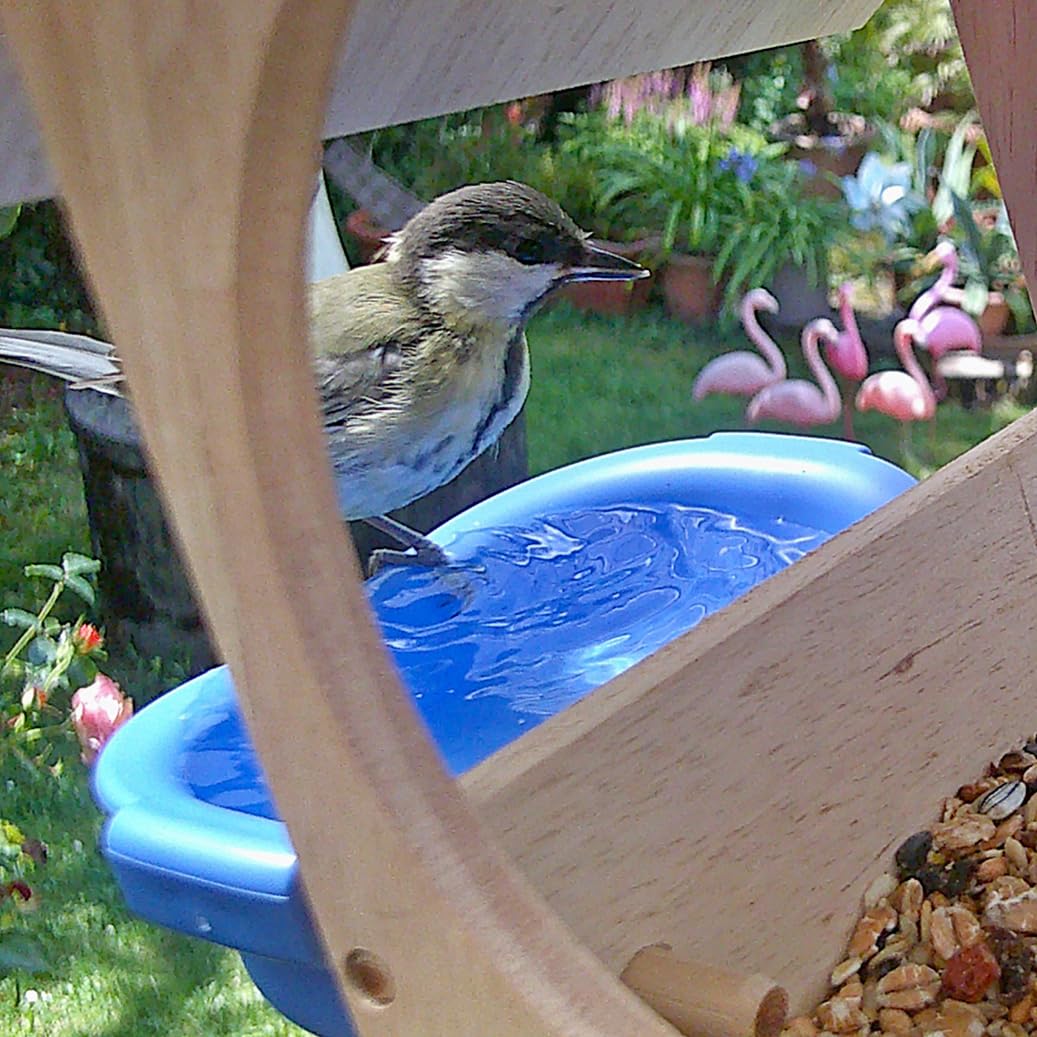 DieMaus Vogelhaus mit Kamera 7
