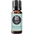 Edens Garden Ocean Breeze Essential Oil Blend- 100% Pure Premium Grade, Undiluted, Natural, Therapeutic, Aromatherapy, The Best for Diffusing, Candle, Laundry, Humidifiers 10 ml (.33 fl oz)