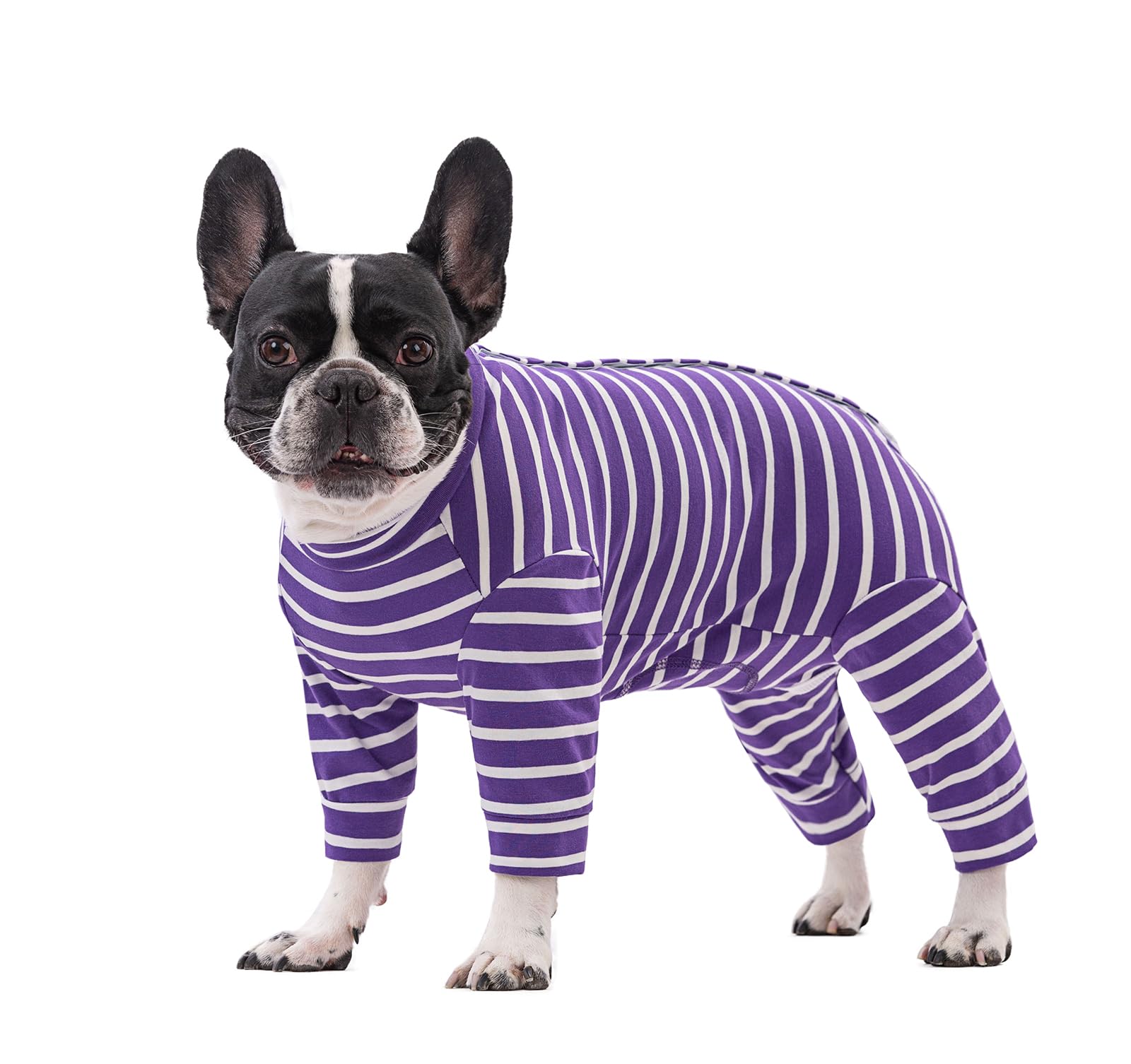 Small Dog Clothes Pajamas PJS,Pet Surger Recovery Suits Jumpsuit,Elastic Classic Stripes Pet Onesie Protect Joints Anti Licking For Cats Small Medium Dogs_L(Purple)
