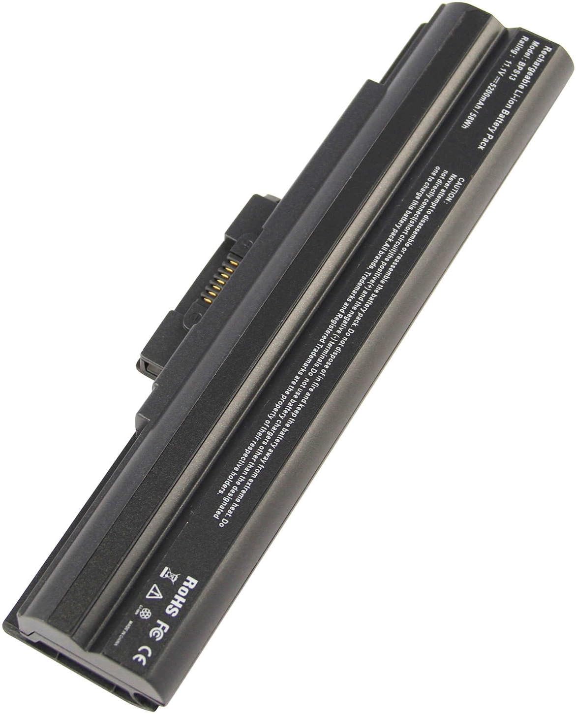 RayWEE 11.1V /58Wh Laptop Battery for Sony Vaio VGP-BPS13A/B GP-BPS13A/R VGP-BPS13B/Q VGP-BPS21A PCG-61411L PCG-81214L PCG-81311L PCG-61411L