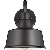 Generation Lighting 1-Light Barn Light Gooseneck Outdoor Wall Lamp Antique Bronze 8537401-71, Dark Sky Outdoor Light Fixture 