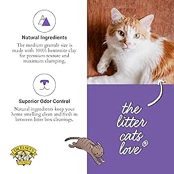 Dr. Elsey's® Clean Tracks Clumping Clay Cat Litter