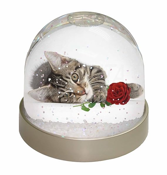 Advanta Group Tabby Kitten Cat with Red Rose Photo Snow Globe Waterball