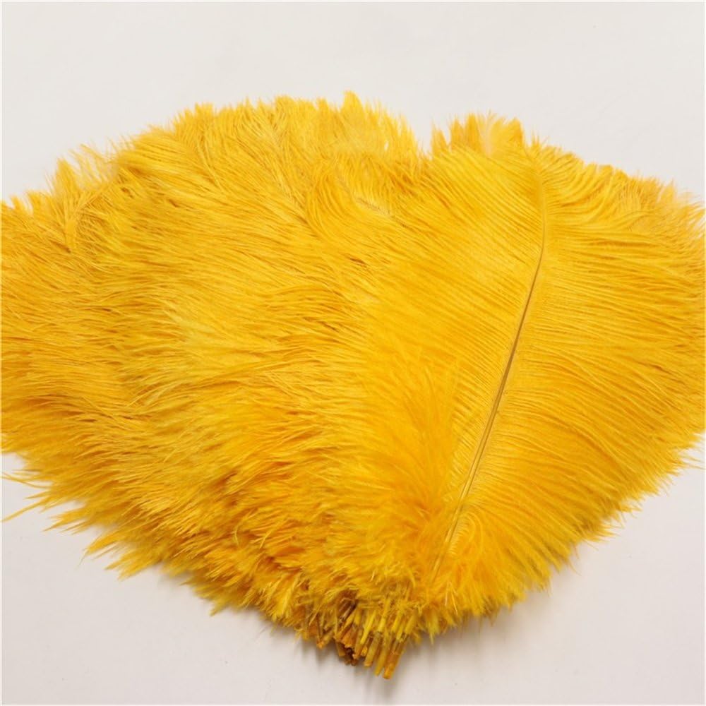 WAKEACE Ostrich Feathers 10-12inch/25-30CM 20pieces Wholesale Discount DIY Wedding Decoration Clothing Accessories