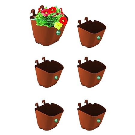 TrustBasket Set of 6 Vertical Gardening POTS/PLANTERS(Small) -Brown