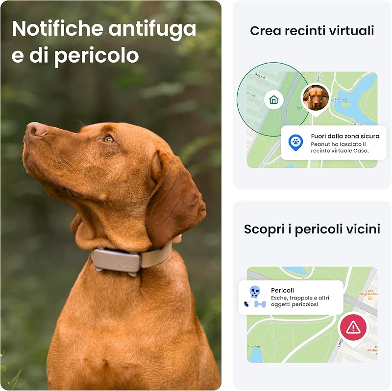 - GPS per cani | 2025 Edizione | N. 1 sul mercato | Localizzazione in tempo reale | Notifiche antifuga | Monitoraggio dell'attività | Avvisi di salute | Monitoraggio degli abbai (Marrone)