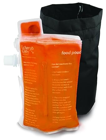 baby food warmer on the go