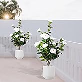VGOBLO Artificial Camellia Tree 2 Pack, 3FT Faux Camellia Tree with Planter, Fake Plants Potted Camellia with Lifelike Flower for Living Room Office Decor Indoor