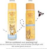 BURT'S BEES FOR PETS Kitten Tearless Shampoo with Buttermilk 10 Fl Oz view 2