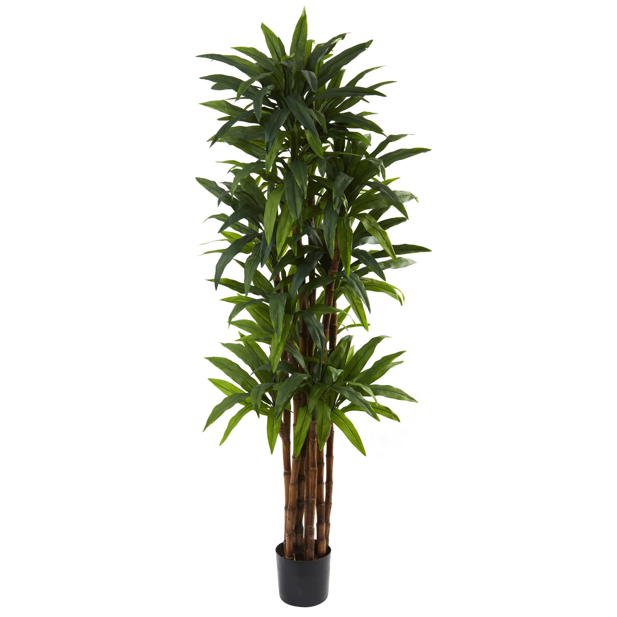 Nearly Natural 5403 Dracaena Tree, 6.5-Feet, Green