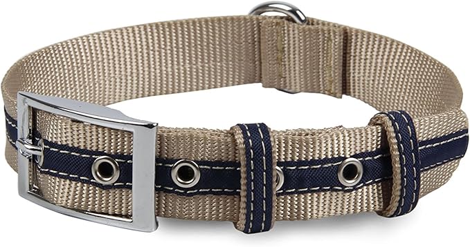 alpha dog shock collar