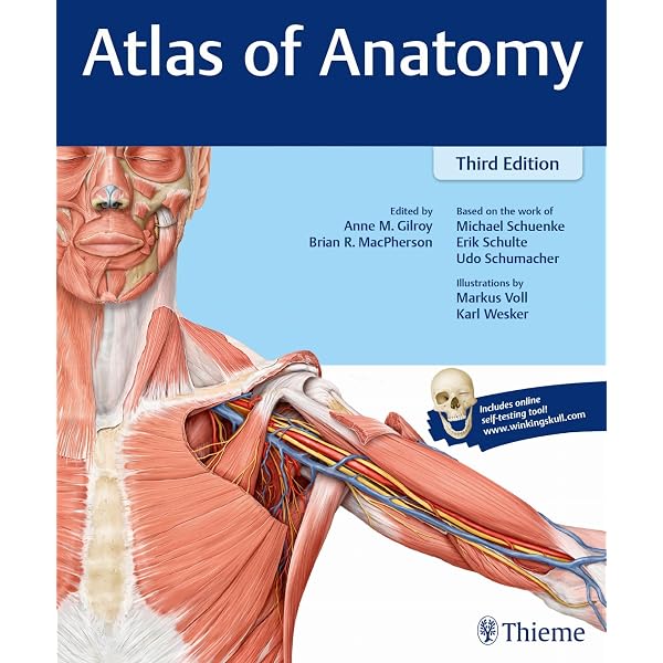 Grant's Atlas of Anatomy: Anne M. R. Agur, Arthur F. Dalley
