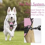 rabbitgoo Dog Harness Medium No Pull Front & Back Clips Reflective Pink view 5