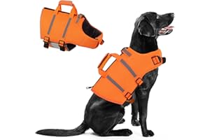 Queenmore Dog Life Jacket - Adjustable Swim Vest with Rescue Handle, Zipper (Orange, M)